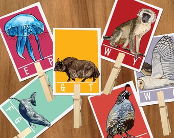 Animal Alphabet ending letter sound clip cards -Preschool ABC flash cards,Ending letters,Summer activities,busy bag,early learning,classroom