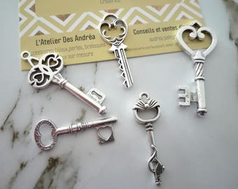 ☆ Set no. 2 / 5 silver metal key x / shapes mixtes☆