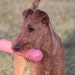 kathy Blaesing