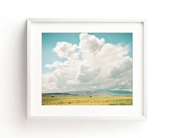 large landscape wall art, landscape photography, landscape wall art, colorful landscape, large art, large wall art, art prints - "First Cut"