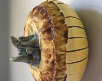 Matte Golden Yellow and Blue Ceramic Striped Tentacled Pod Wall Art 8