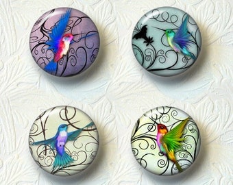 Hummingbird Magnet Set Choose your Favorite from the 2 Different Prints, 1.5" Size, Buy 3 Sets Get 1 Set Free057M