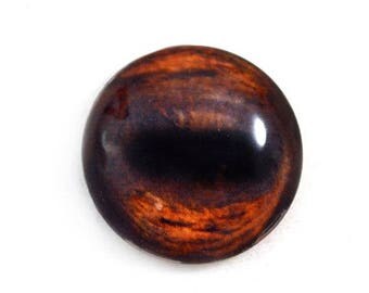 SALE 25mm Brown Horse Glass Eye Cabochon Animal Jewelry or Doll Making or Taxidermy Crafting 1 inch