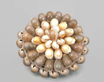 Sea Shell Coin Purse, Small Natural Shell Zippered Change Purse