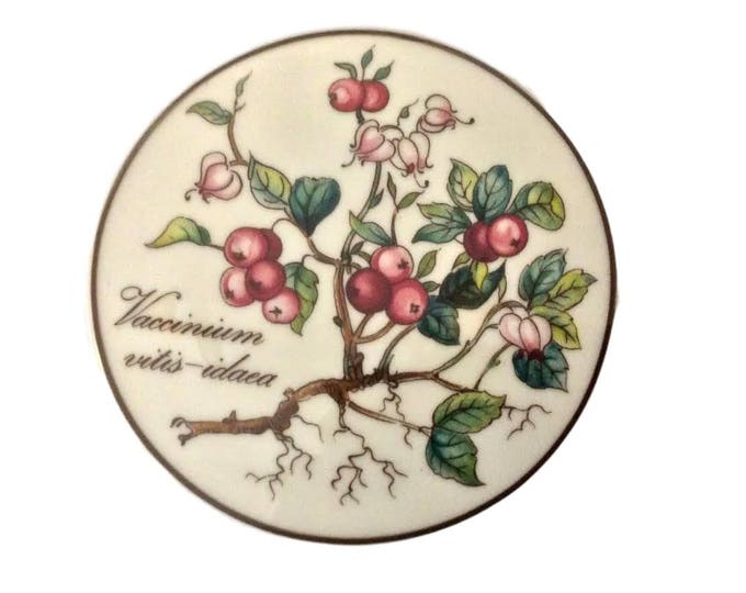 Villeroy & Boch Botanica Porcelain Candy Dish, 4 Inch, VACCINIUM, Luxembourg Vintage Trinket Box, Christmas Gift