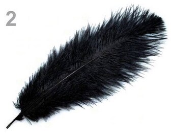 1 25 cm 2 black ostrich feather