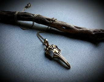 raven skull pendant (with a necklace)