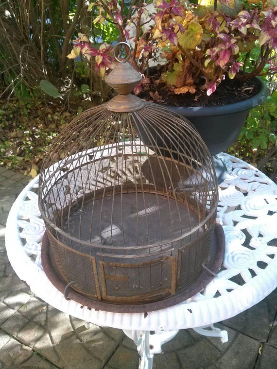Antique Birdcage, Victorian Dome, Vintage Bird Cage, Metal Cage, Dome Birdhouse, Art Deco Bird, Art Nouveau, French Birdcage