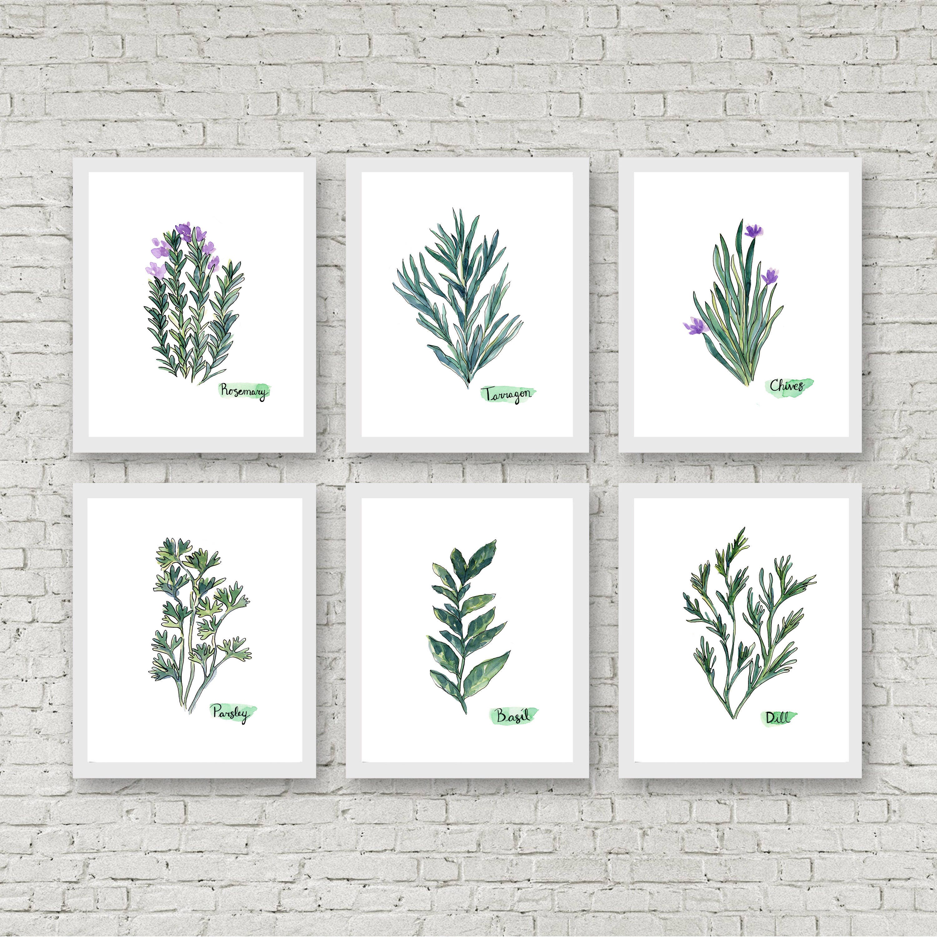 Watercolor Herb Print Set of 6 Watercolor Green Botanical