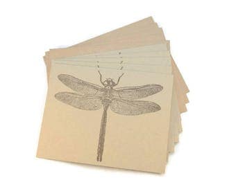 Blank Note Cards, Large Dragonfly, Stationery Set, Nature Themed Notecards, Rustic Notecards, Quirky Notecards, Insect Theme, Notecard Set