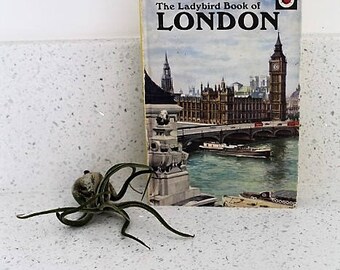 The Ladybird Book of London/ Vintage/Books/ Children's Books/ Collectable/1960s (0025N)