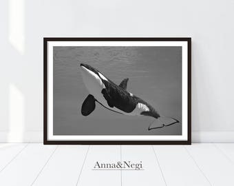 Killer whale art | Etsy