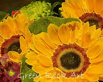 Sunflower Burst Canvas Print