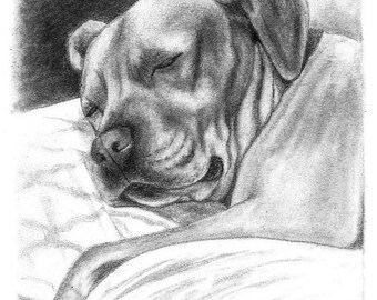 Pet Portrait Custom Gift Idea Special Size & Pricing Option on Hand Drawn Sketch of Your Pet