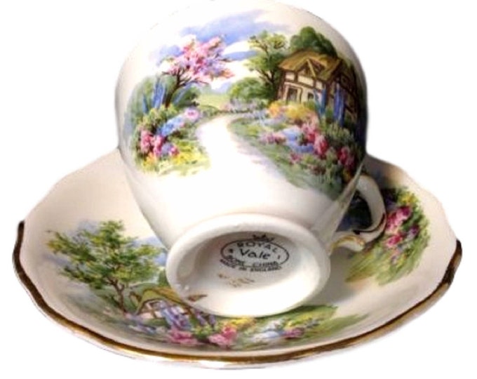 Vintage Royal Vale Cup and Saucer, Fine Bone China Teacup, Country Cottage Garden, England, Gift For Her