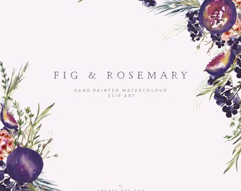 Hand Painted Watercolour Floral Arrangements - Fig & Rosemary