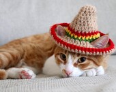 Fun pet accessories formerly Aegean Drawn by PawsomeCrochet