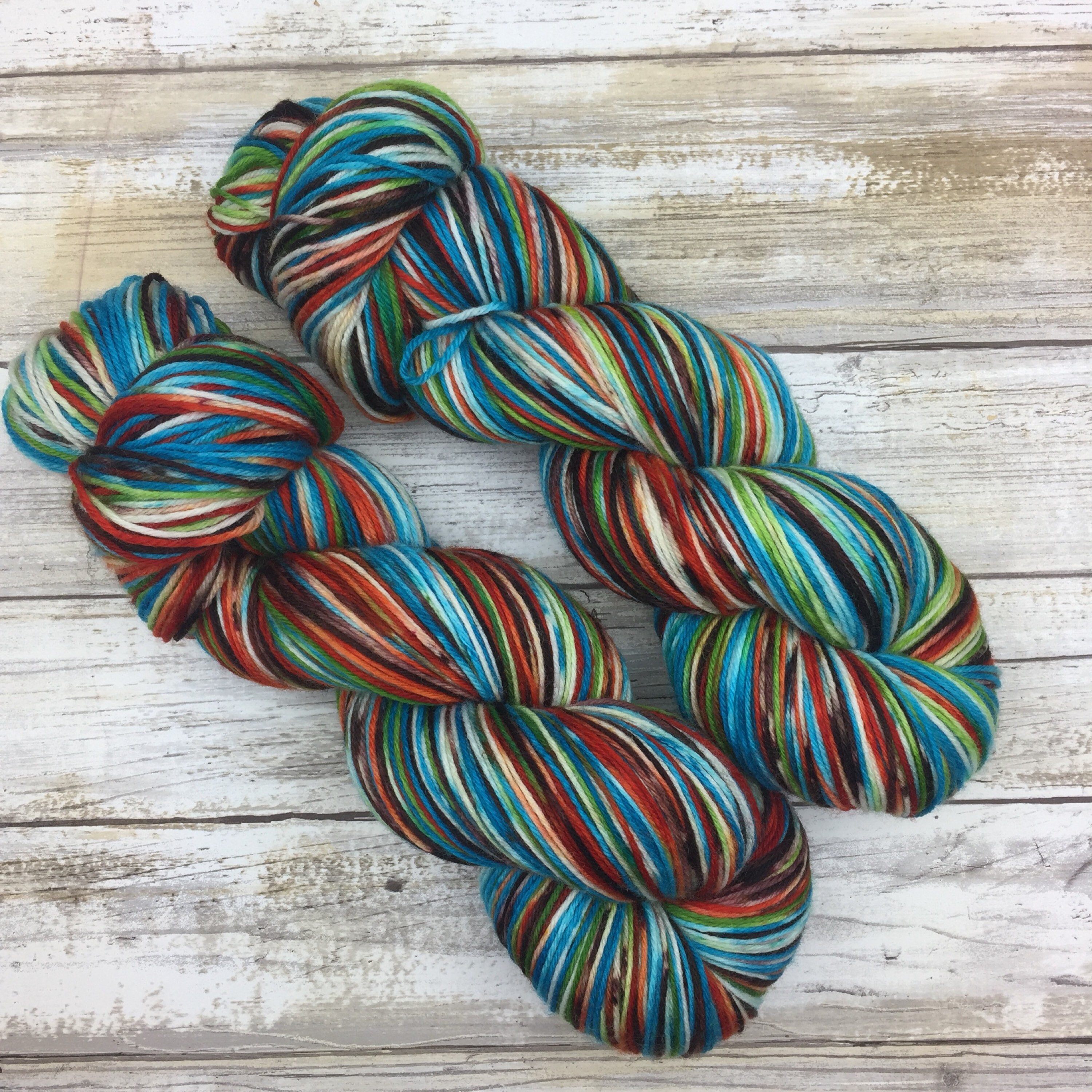 Hand Dyed Yarn Rail Car