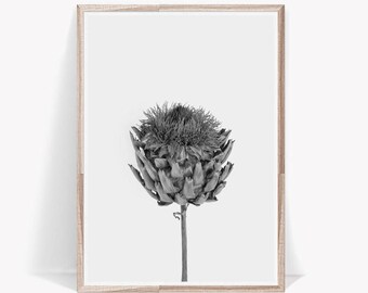 Black And White PrintRustic PrintFarmhouse DecorFarmhouse PrintDried Flower Black And White PrintRustic PrintFarmhouse DecorFarmhouse PrintDried Flower