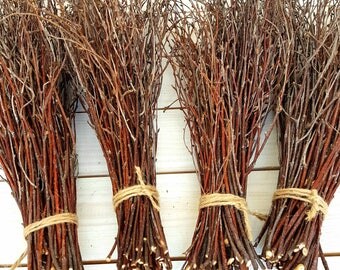 Birch branches,wood twigs,woodland wedding,birch branch,birch twigs,wedding decor,decorative twigs.Set of 4bundles,decorative Birch Branches