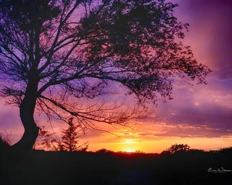 Purple Rain Clouds