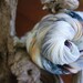 Hand Dyed Sock Yarn - Please Turn Out the Lights When you Leave