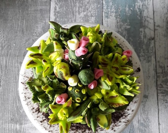 A tutorial to make this realistic succulents cake.