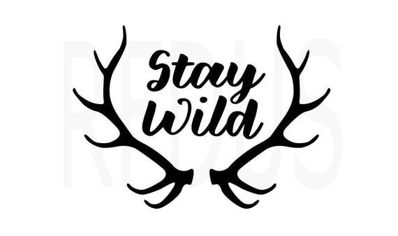 Stay Wild SVG FILE Baby boy svg cricut and cameo cutting