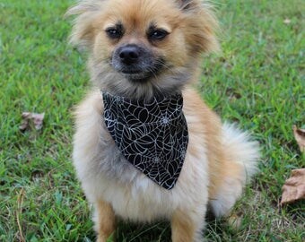 Halloween Dog Bandana