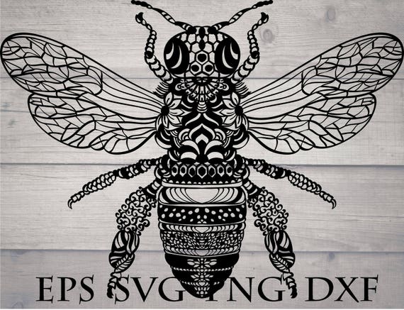 Download Mandala bee svg / zentangle bee svg / insect mandala svg