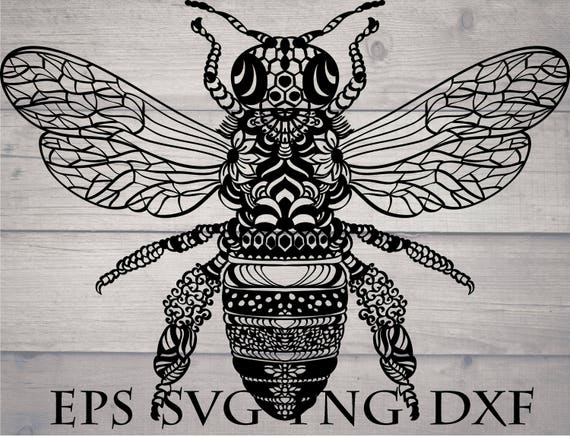 Mandala bee svg / zentangle bee svg / insect mandala svg