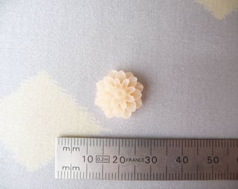 Yellow 16 mm Chrysanthemum cabochons.