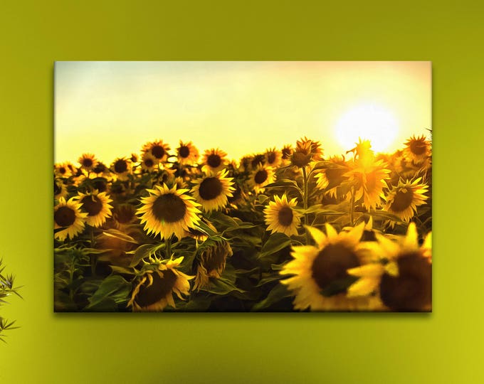 Sunflower canvas print, Вawn in the field, flower art, Wall Art Canvas Print, Interior decor, room decor, print poster, art picture, gift