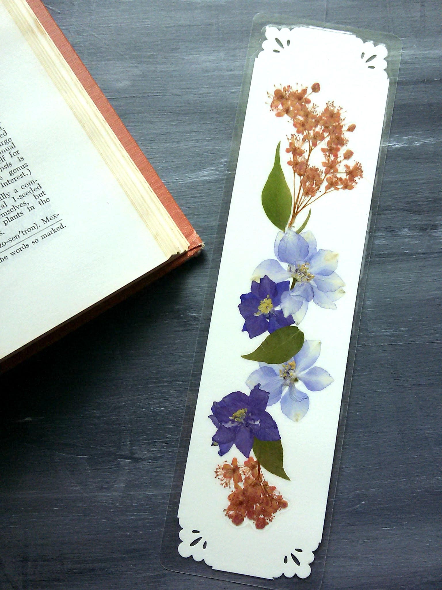 PRESSED FLOWER BOOKMARK Preserved Natural Garden Flowers