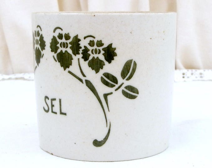 Antique French Pottery Salt Pot with Art Nouveau Stencil Pattern, Victorian Ceramic Kitchenalia, Country Farmhouse Kitchen Decor, Cellar