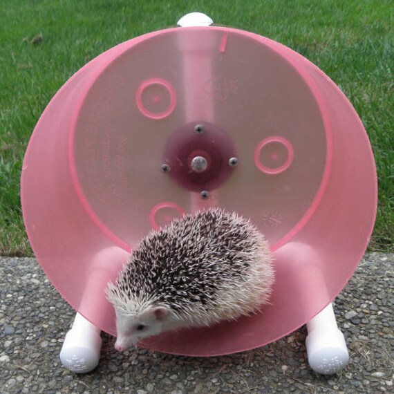 Bucket Wheel and Litter Tray Set Assorted Colors