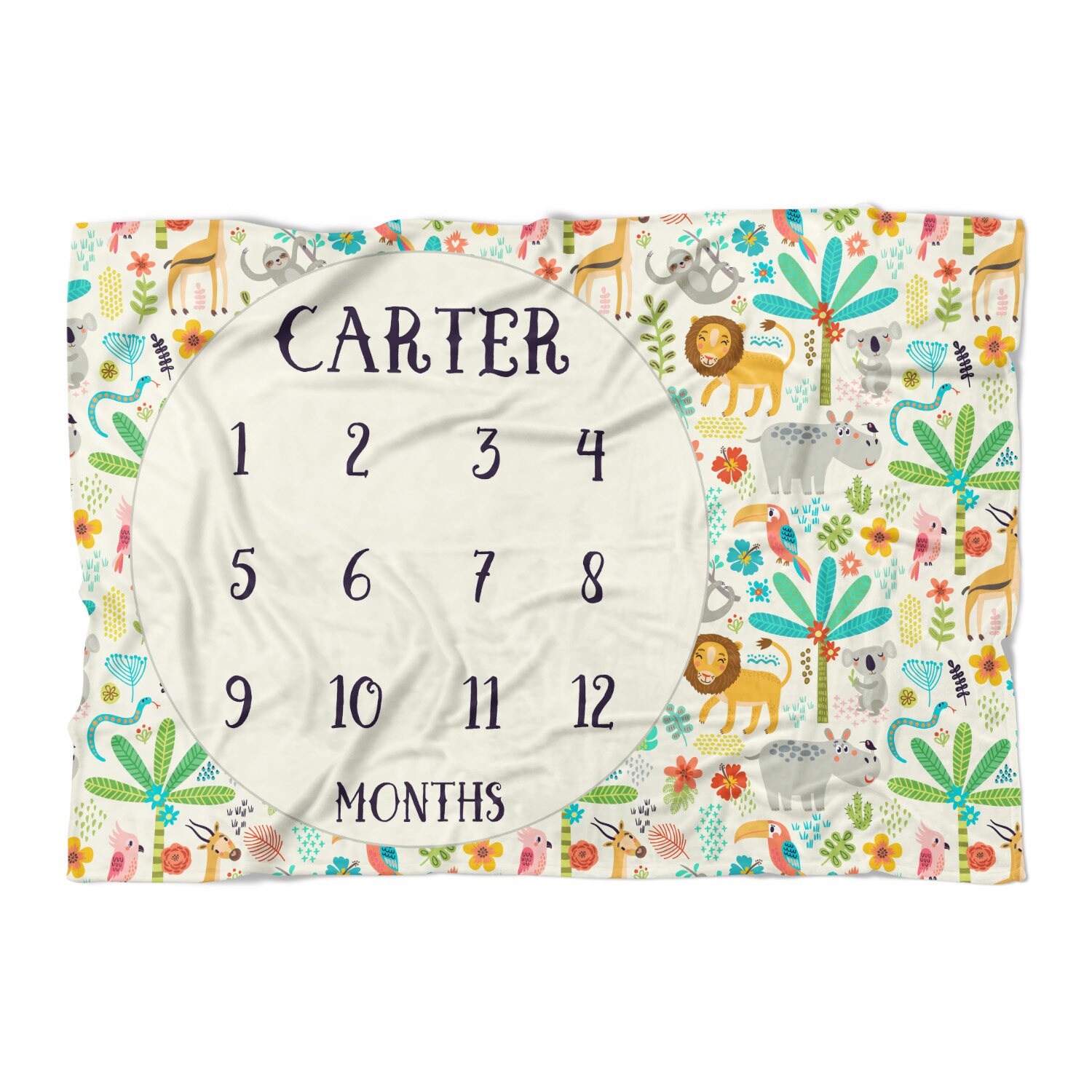 Personalized Monthly Milestone Baby Blanket baby blanket