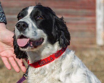 3/4" Custom Embroidered Dog Collar