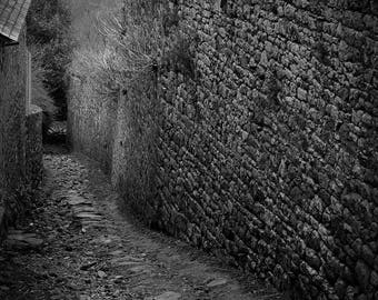 Photograph of a paved lane black and white
