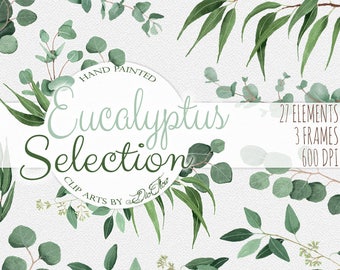 Watercolor Eucalyptus Clipart Greenery Clip Art Eucalyptus Greenery Baby Silver Dollar Leaf Green Leaves Illustration Vector Invitation Art