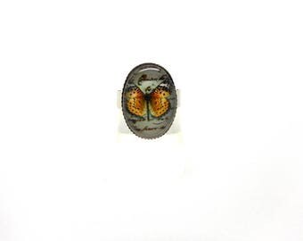 Orange butterfly Ring arrgentee beige background