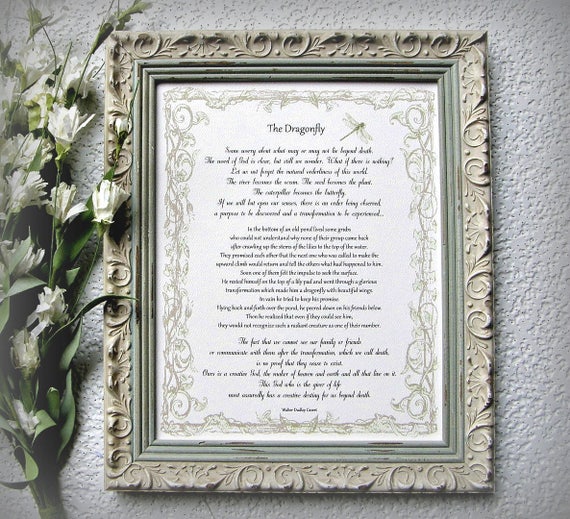 THE DRAGONFLY framed story on death dying Sympathy gift