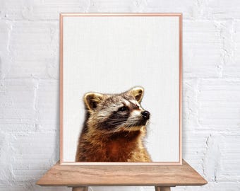 Items similar to Raccoon Print, Raccoon Art, Raccoon Wall Art ...