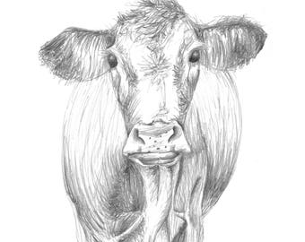 Cow pencil drawing | Etsy