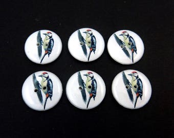 6 Bird Sewing Buttons. Woodpecker Sewing Buttons. 3/4" or 20 mm.