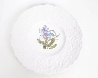 Vintage Royal Cauldon Plate Bristol Ironstone Woodstock Rock Rose Made in England 9 1/2 inch