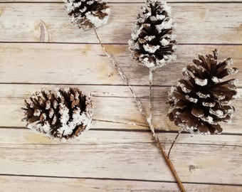 2 Pommes De Pin Sugar Pine Extra Large (16") - Déco Noël, Automne, Style Cabin - Occasion