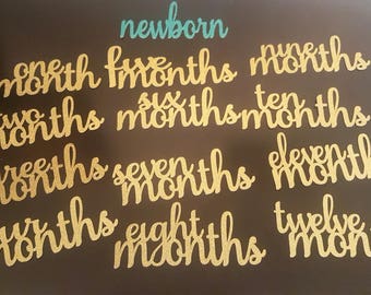 Gold First Birthday Decorations-12 Month Photo Banner-Happy Birthday Banner- Perfect for 1st birthday party, royal princess party.