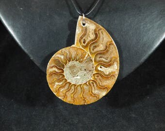 A Beautiful 200 Million Year Old! Ammonite Fossil Pendant or Necklace 5.22