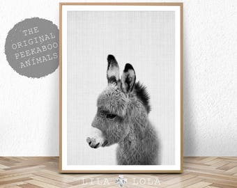 Donkey Print, Nursery Animal Wall Art, Baby Shower Gift, Kids Room Poster, Printable Digital Download, Cute Baby Nursery Donkey Wall Art